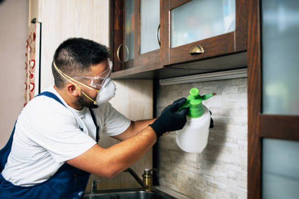 Best Pest Removal Services  in Los Alamitos, CA