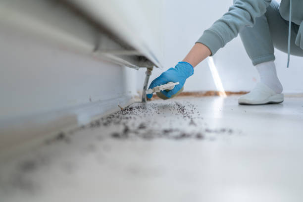 Best Pest Prevention Services  in Los Alamitos, CA